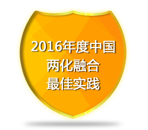 2016年度中国两化融合最佳实践